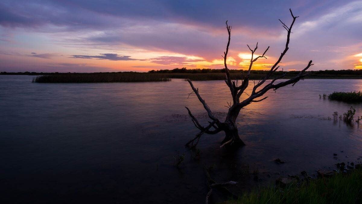 Dead tree in water against sunset at Lake Arrowhead State Park