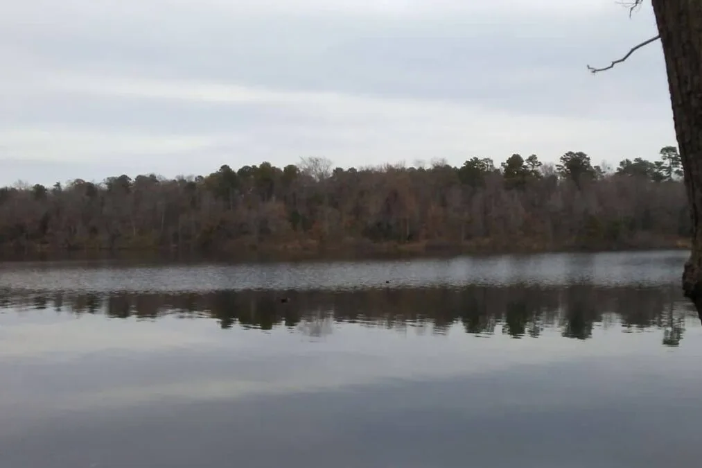 trees reflecting in the water on a cloudy day at Lake Bob Sandlin State Park