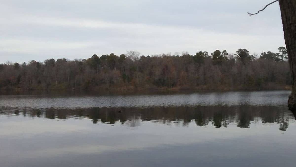 trees reflecting in the water on a cloudy day at Lake Bob Sandlin State Park