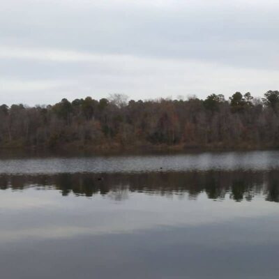 Lake Bob Sandlin State Park