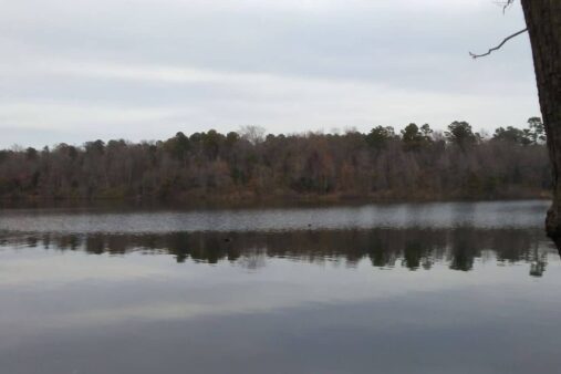 Lake Bob Sandlin State Park