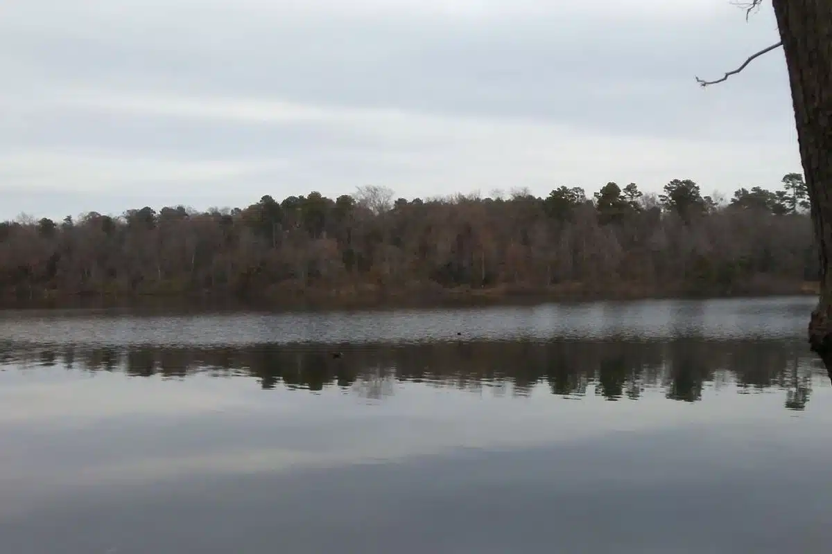 Lake Bob Sandlin State Park