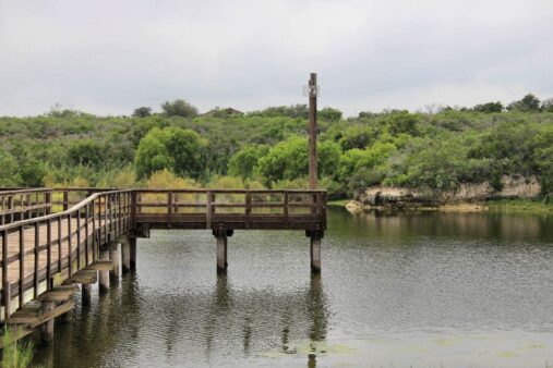 Lake Corpus Christi State Park