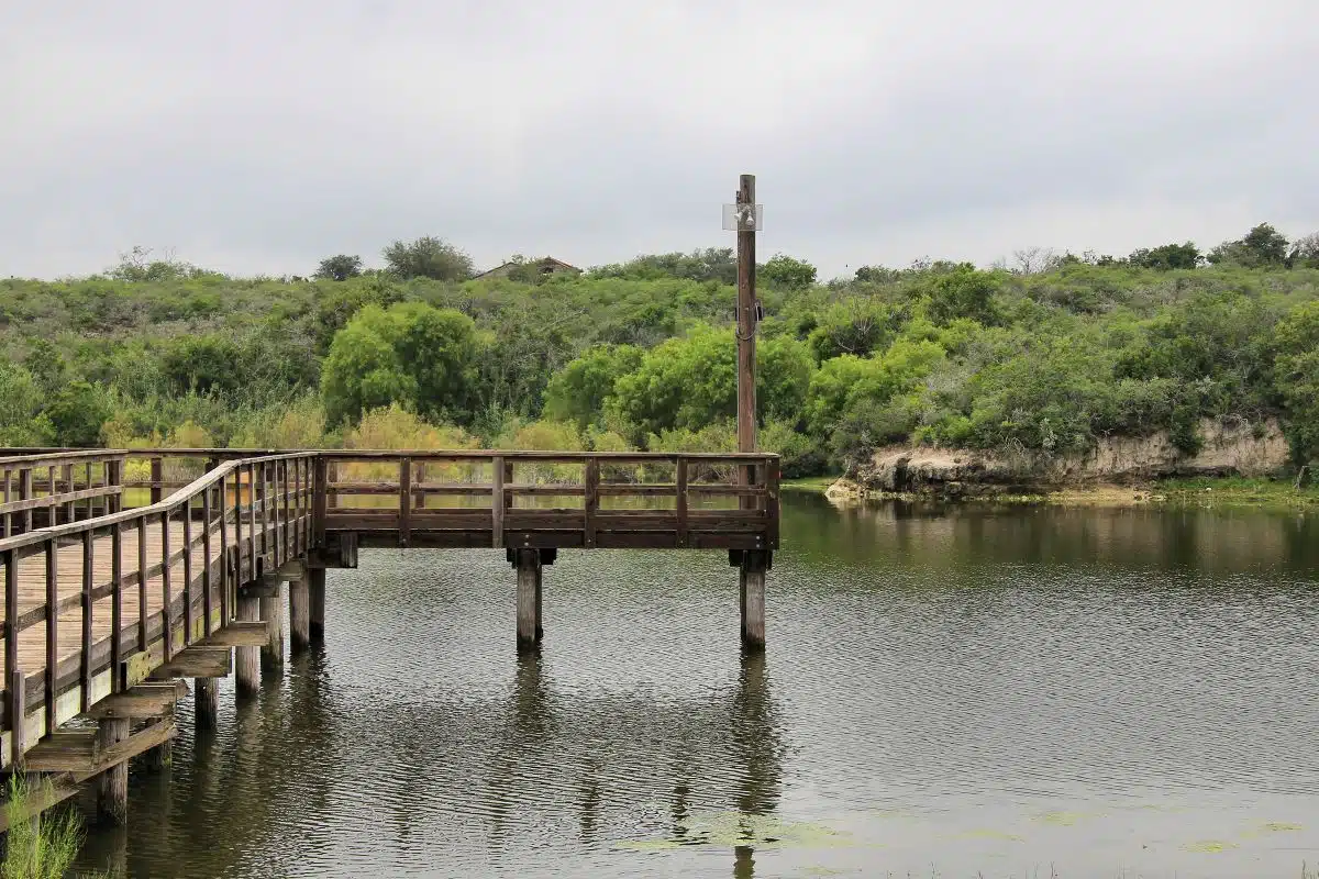 Lake Corpus Christi State Park