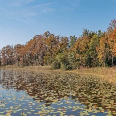Lake Louisa State Park