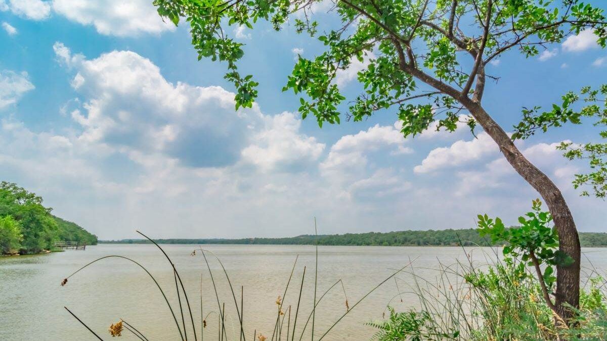 Lake Mineral Wells behind a tree on a sunny day at Lake Mineral Wells State Park
