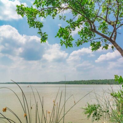 Coleto Creek Park and Reservoir