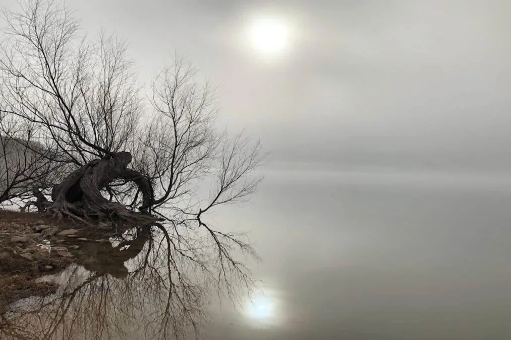 sun rising behind the fog at Lake Whitney State Park