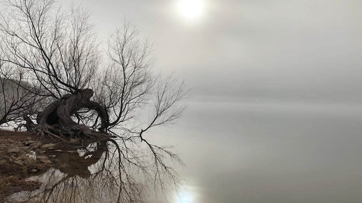 sun rising behind the fog at Lake Whitney State Park