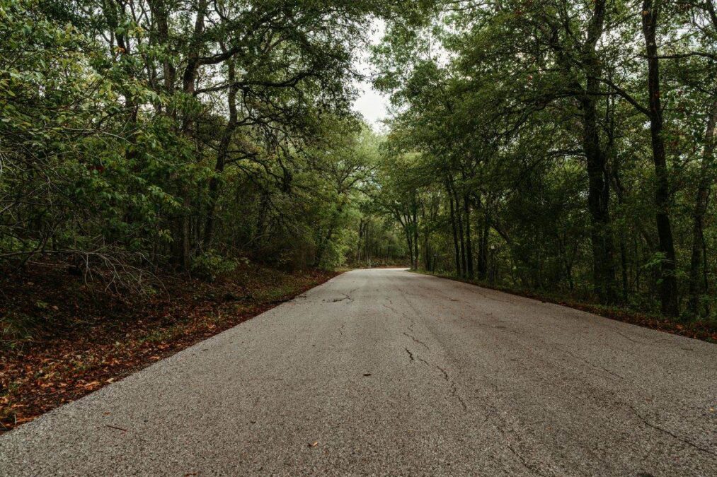 Road through the trees at Lockhart State Park