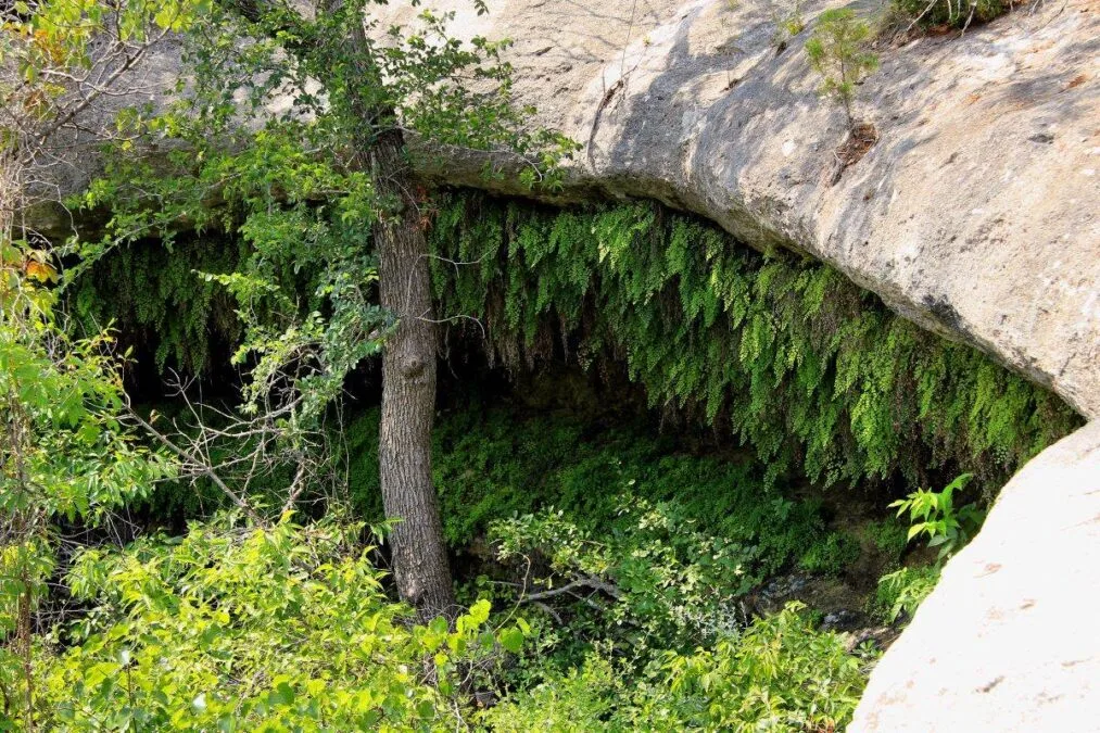 A grotto in Meridian State Park in Bosque County, Texas