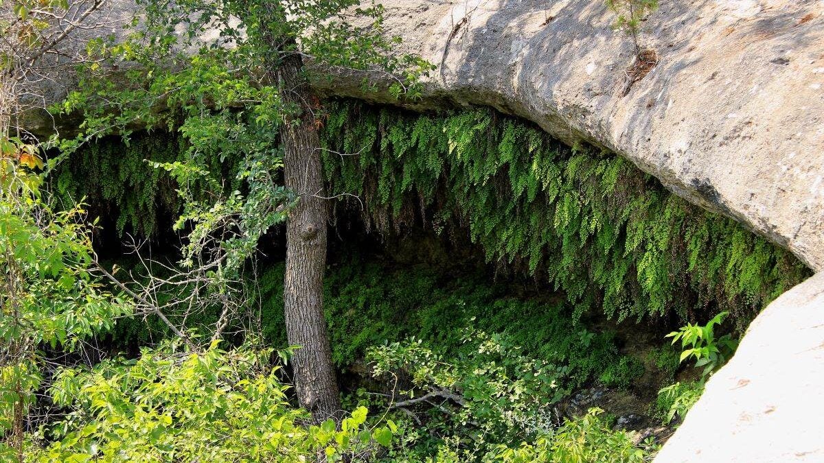 A grotto in Meridian State Park in Bosque County, Texas