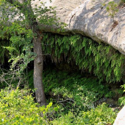 Meridian State Park
