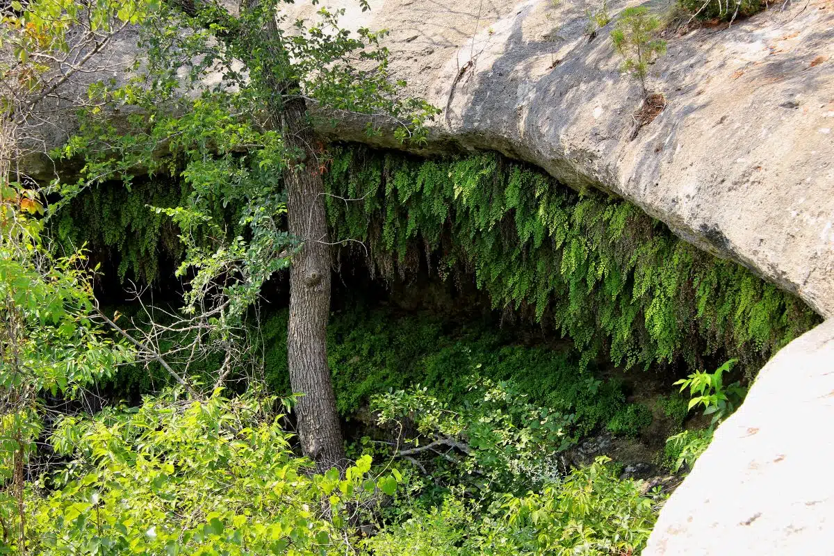 Meridian State Park