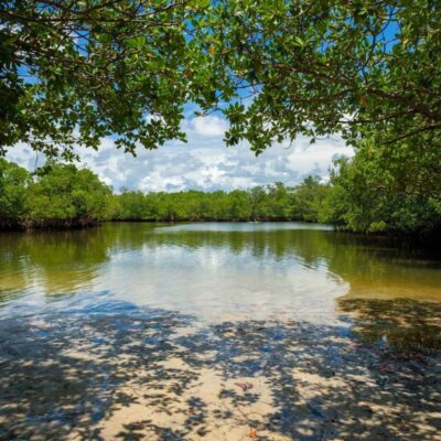 Oleta River State Park