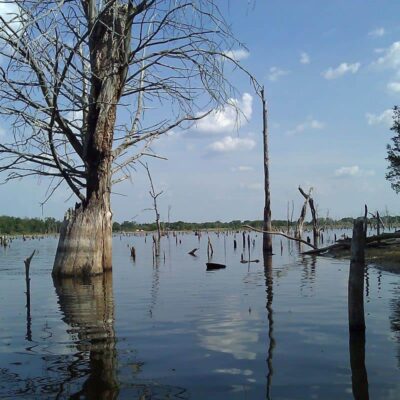 Jim Hogg Historic Site