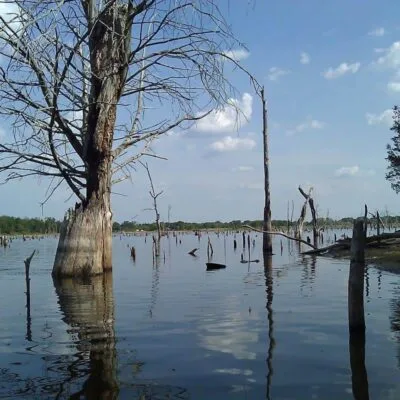 Purtis Creek State Park