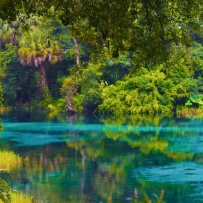 Rainbow Springs State Park