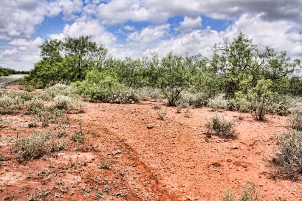Desert landscape with clouds overhead at San Angelo State Park
