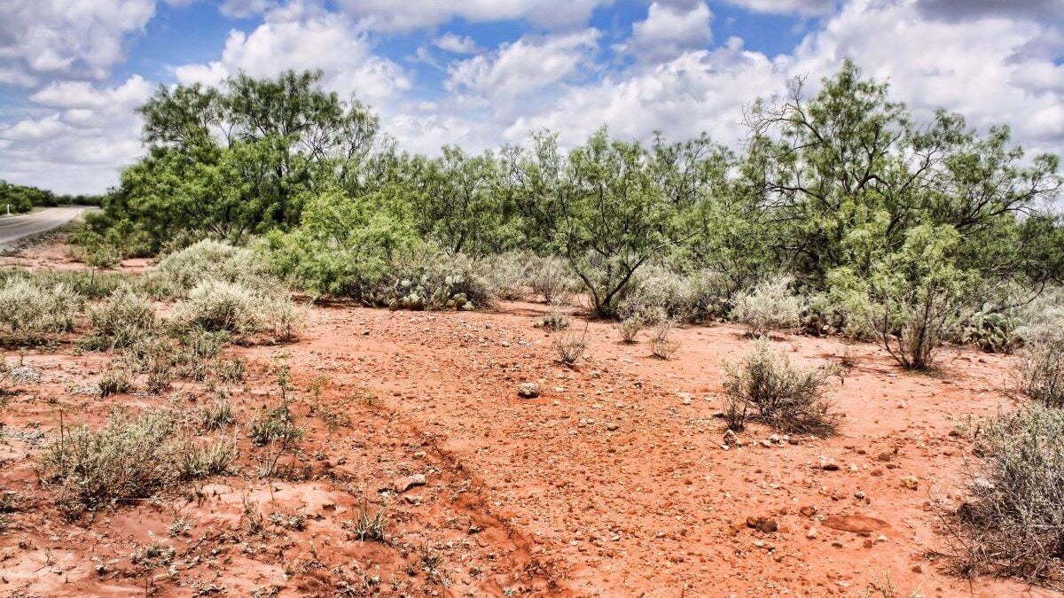 Desert landscape with clouds overhead at San Angelo State Park
