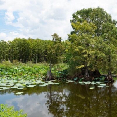 Sheldon Lake State Park