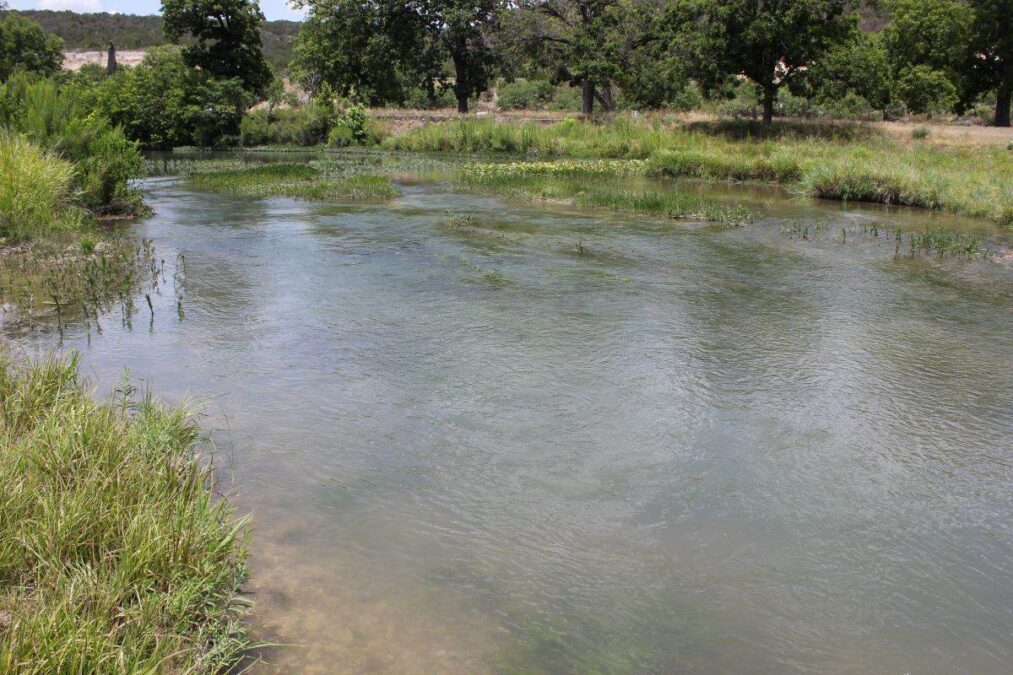 Pond with ripples on the surface at South Llano River State Park.