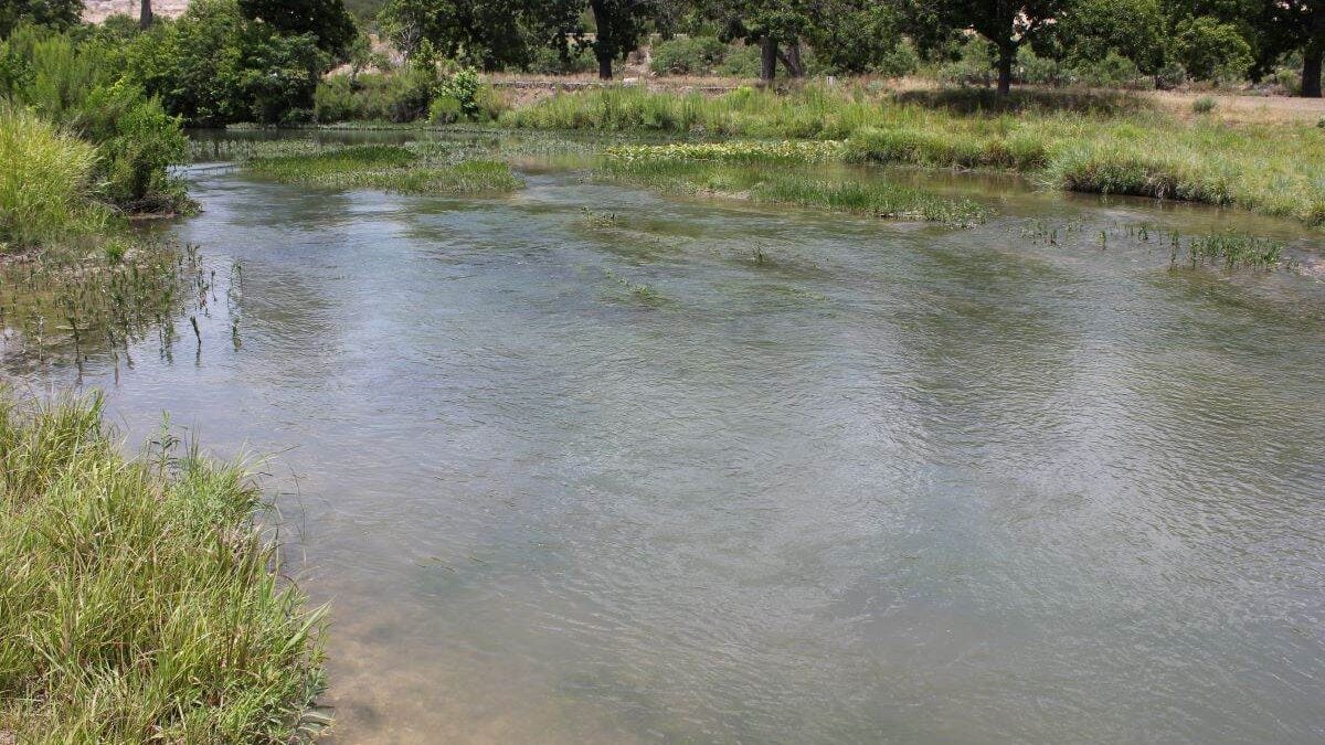 Pond with ripples on the surface at South Llano River State Park.