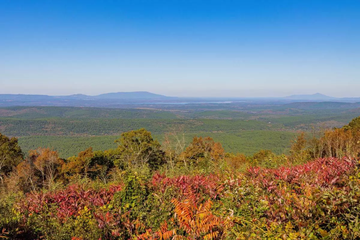 High angle view of Talimena National Scenic Byway, by Talimena State Park