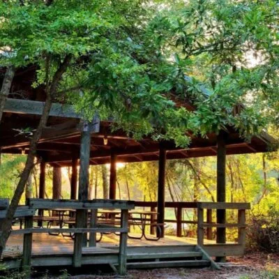 Village Creek State Park