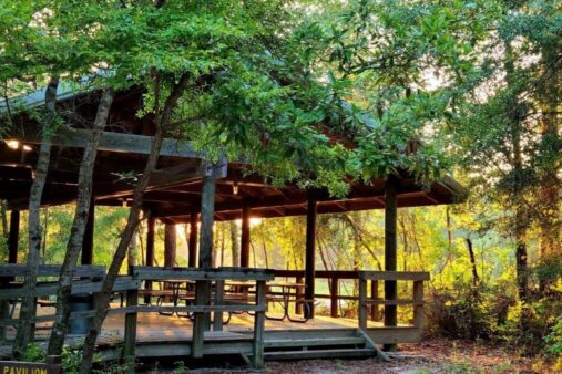 Village Creek State Park