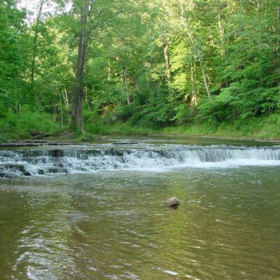 Natchez Trace State Park