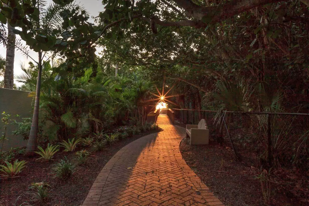 sun peeks through a tunnel of trees at Delnor-Wiggins Pass State Park