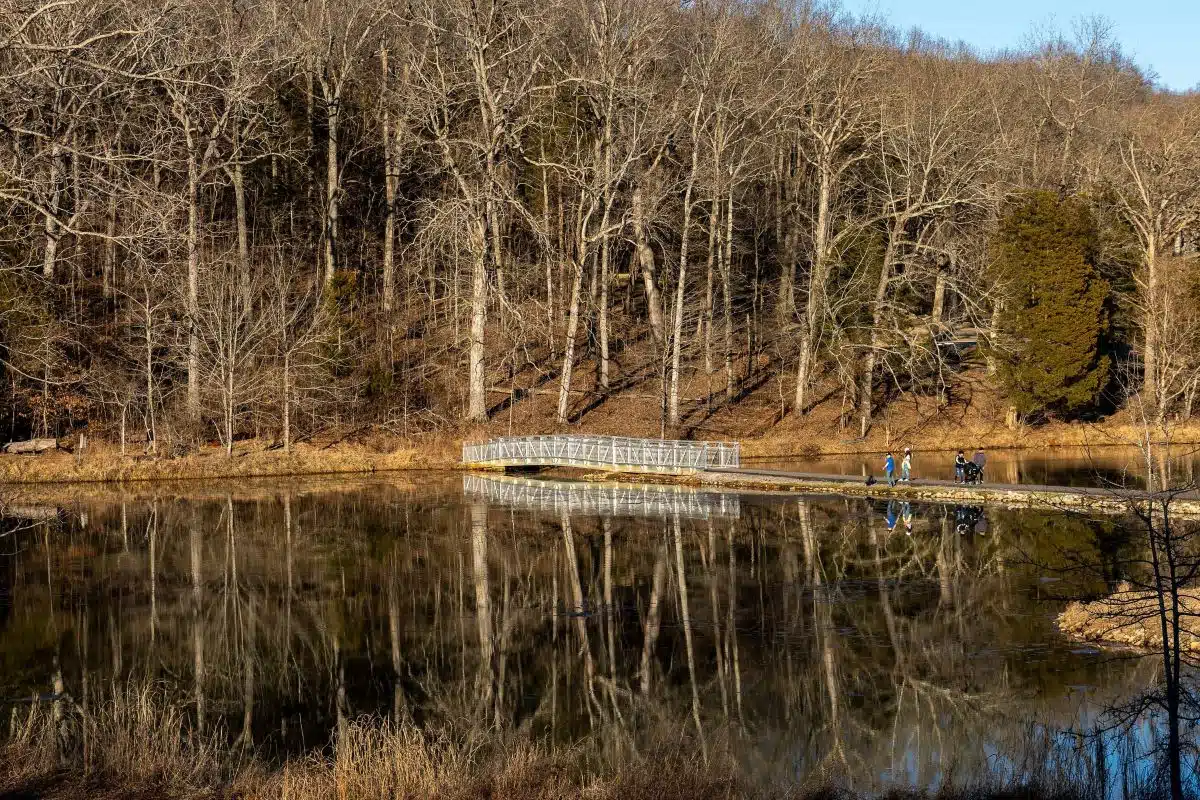 people walking on the bridge over the lake at Dunbar Cave State Park
