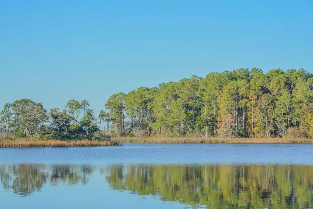 lake with trees in the background at Eden Gardens State Park