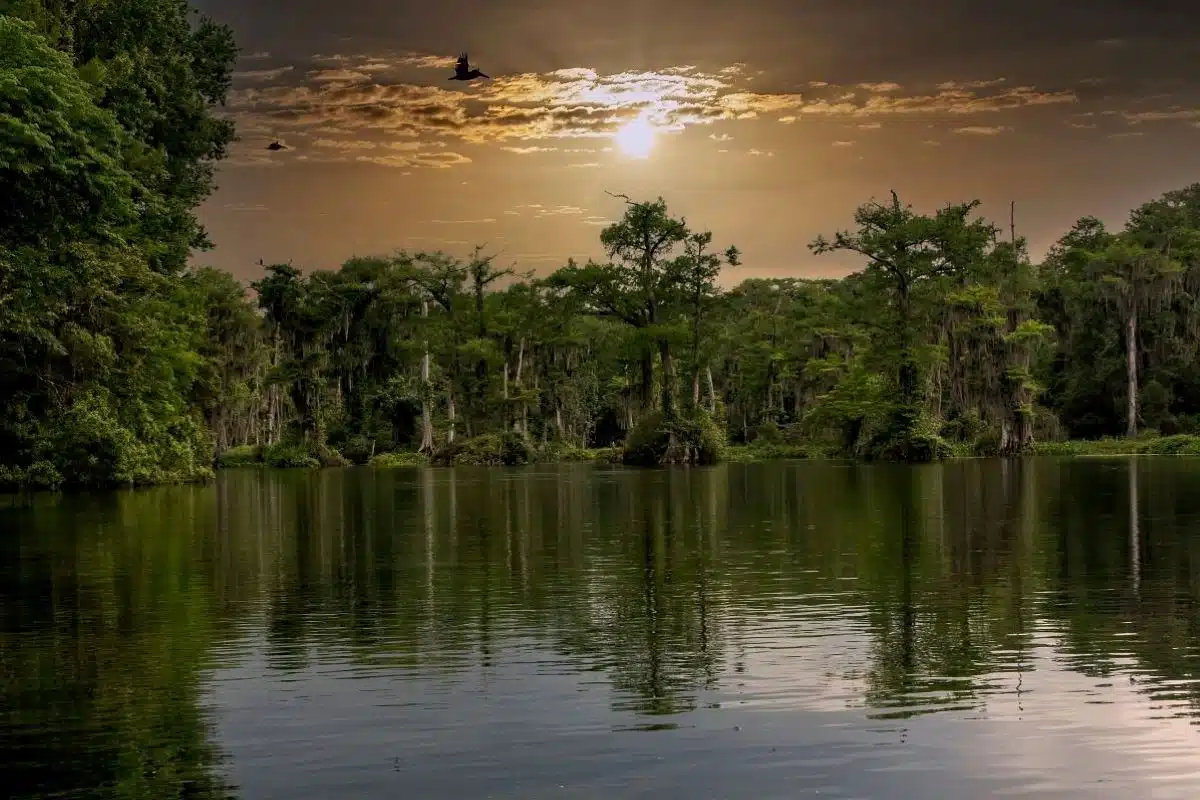 sunset over the water at Edward Ball Wakulla Springs State Park