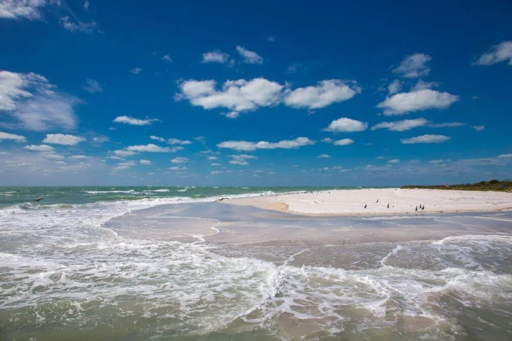 waves crashing against the beach at Egmont Key State Park