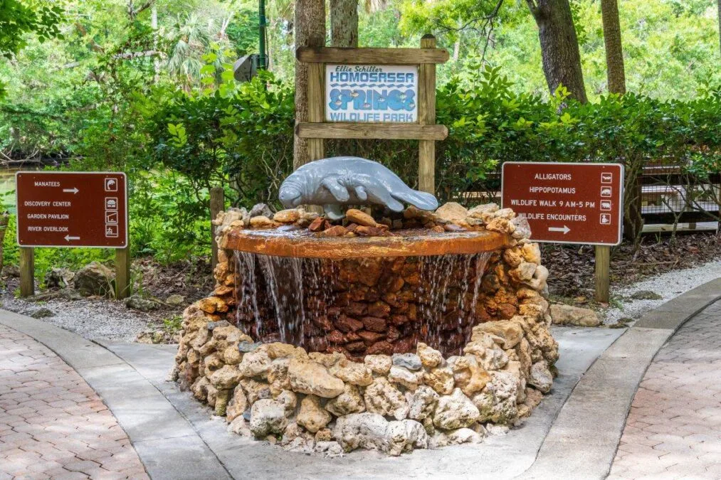 Manatee statue and fountain near the entrance to Ellie Schiller Homosassa Springs Wildlife State Park