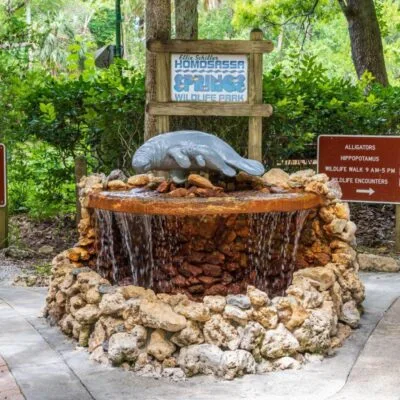 Ellie Schiller Homosassa Springs Wildlife State Park