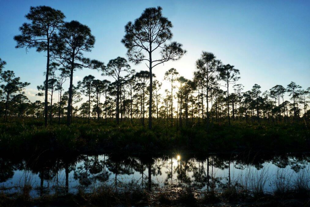 sunset over Estero Bay Preserve State Park