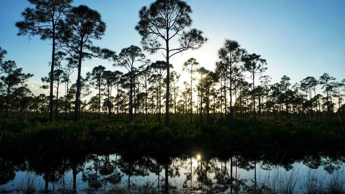 sunset over Estero Bay Preserve State Park
