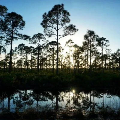 Estero Bay Preserve State Park