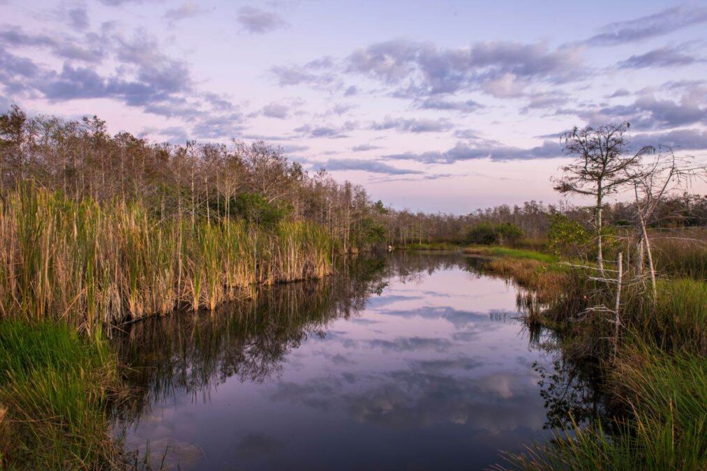clouds reflecting in the water at Fakahatchee Strand Preserve State Park