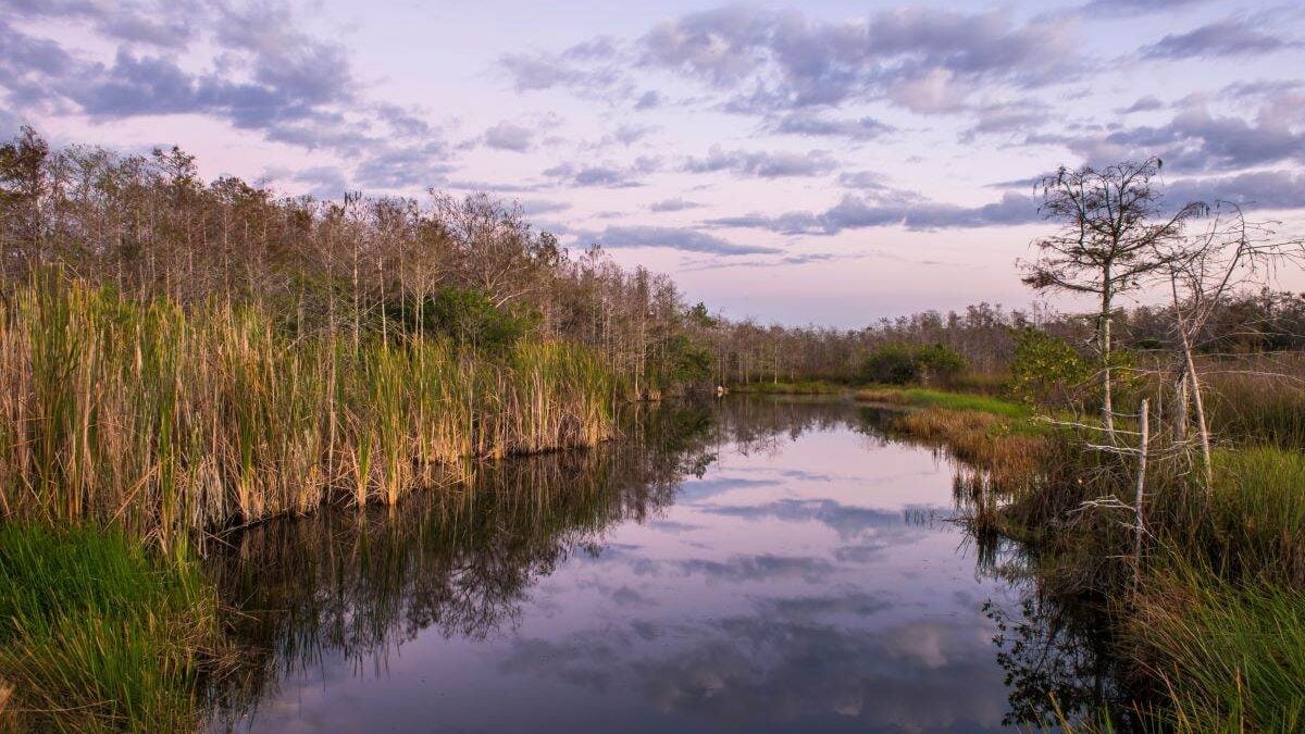 clouds reflecting in the water at Fakahatchee Strand Preserve State Park