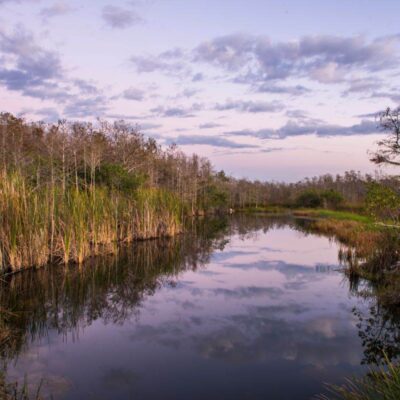 Fakahatchee Strand Preserve State Park