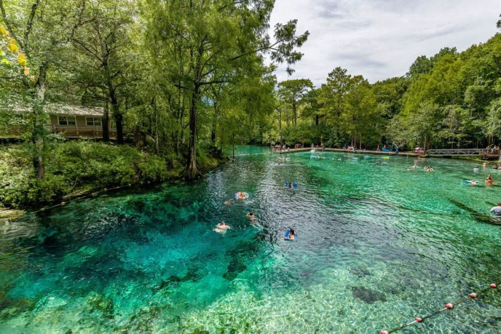 People swimming in the spring at Fanning Springs State Park