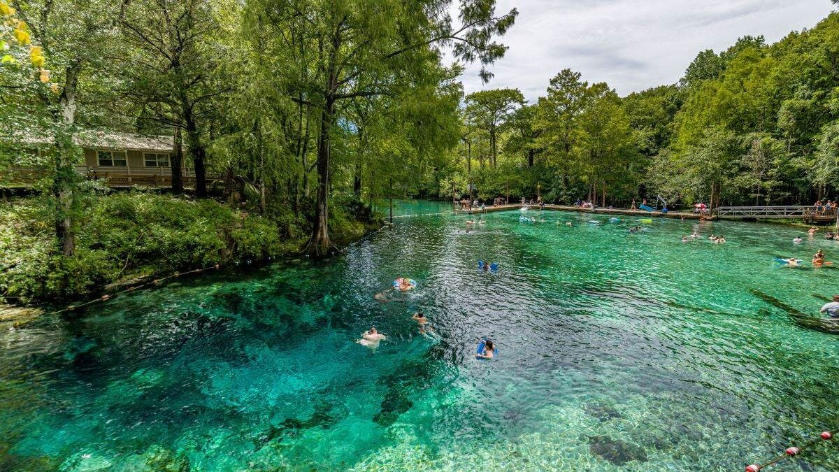 People swimming in the spring at Fanning Springs State Park
