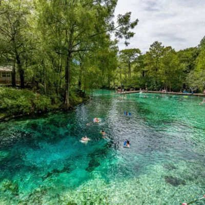 Fanning Springs State Park