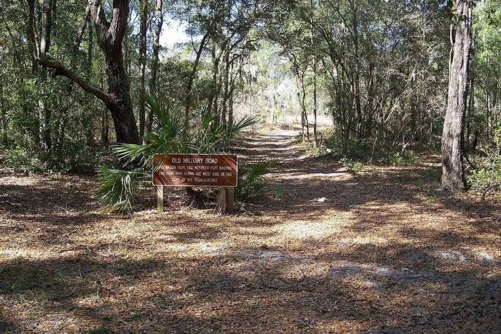 Old military road in Fort Cooper State Park