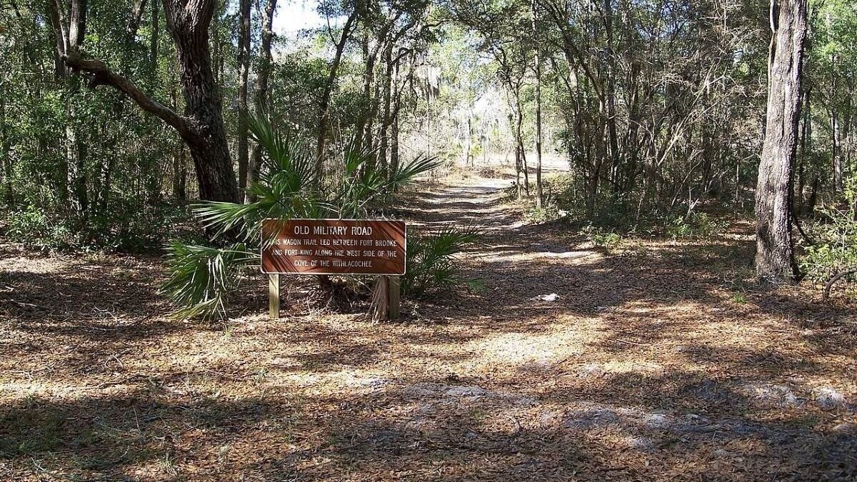 Old military road in Fort Cooper State Park