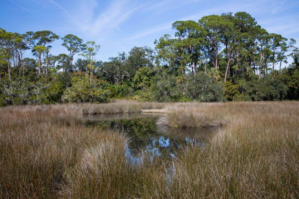 marshes at Fort Mose Historic State Park
